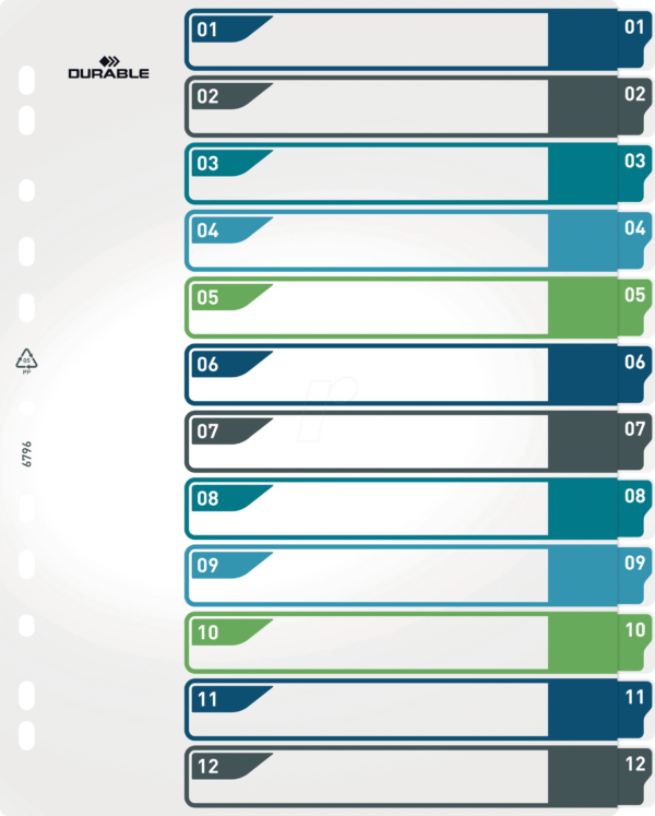 DURABLE 679627 - Kunststoffregister A4 (1-12)